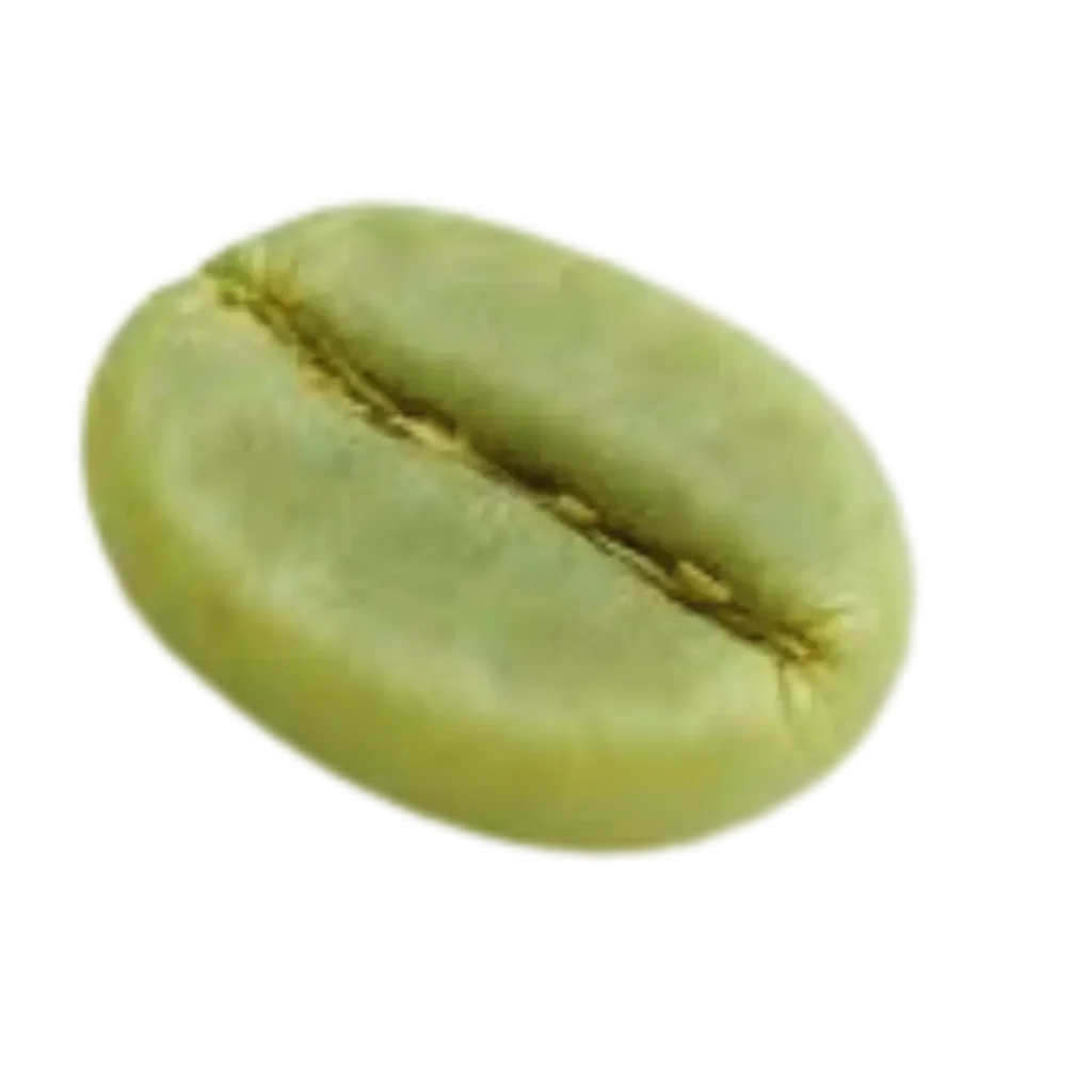 Golden Beans Green Beans